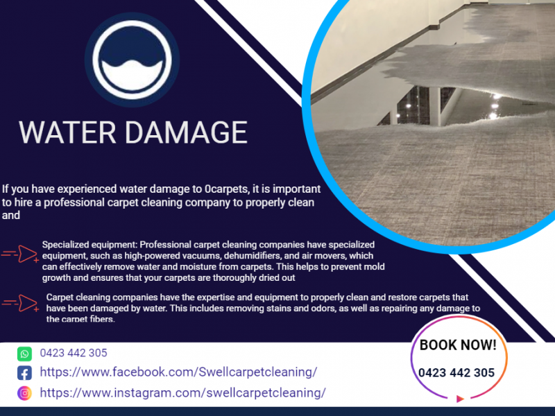 WATER DAMAGE? CALL US TO SORT THIS OUT! WATER DAMAGE? CALL US TO SORT THIS OUT!